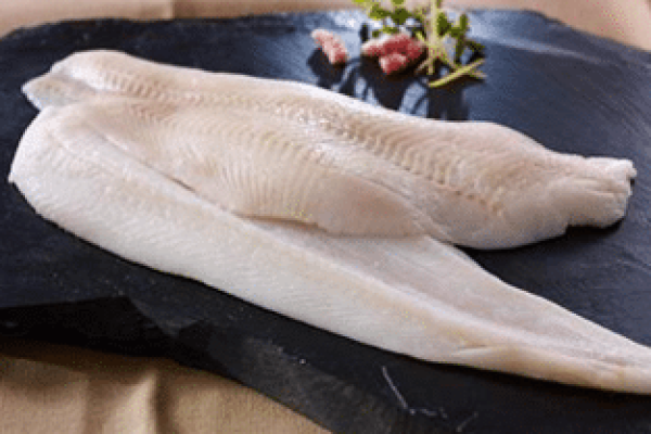 דגים קפואים